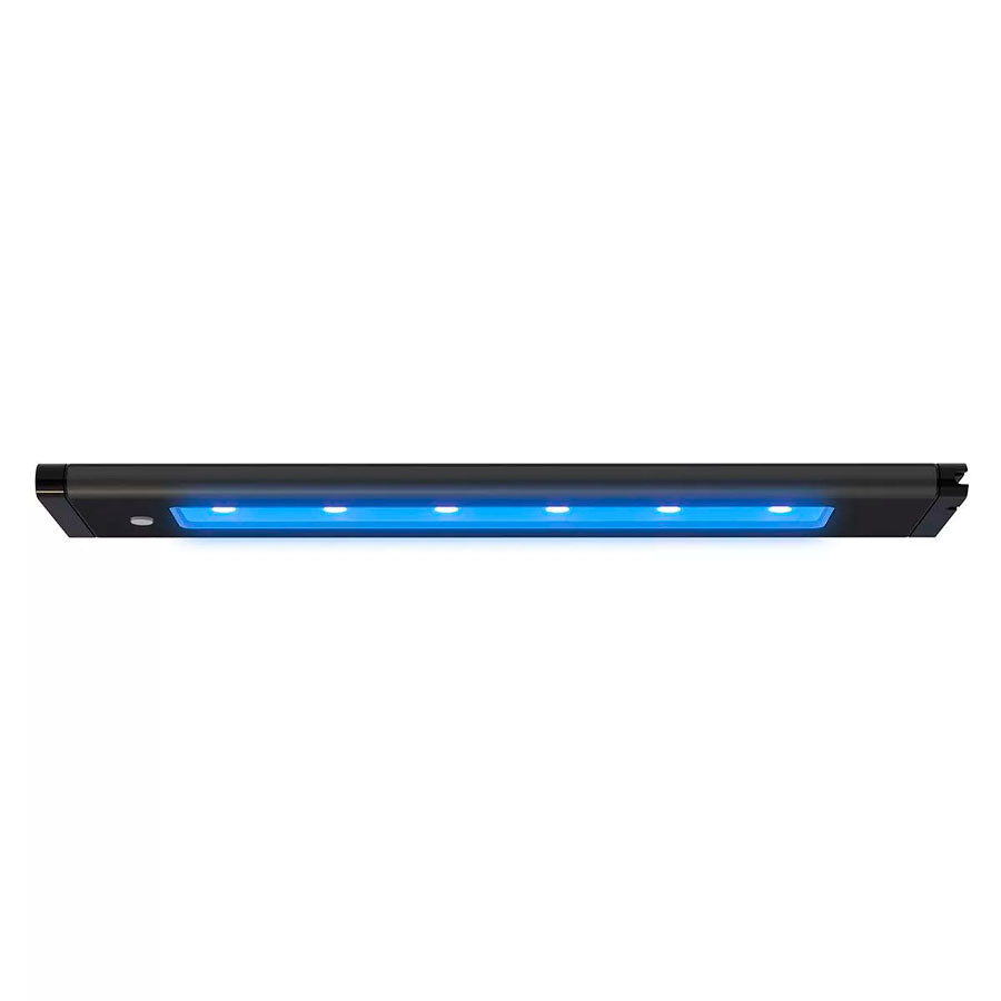 Blade Grow, AquaIllumination
