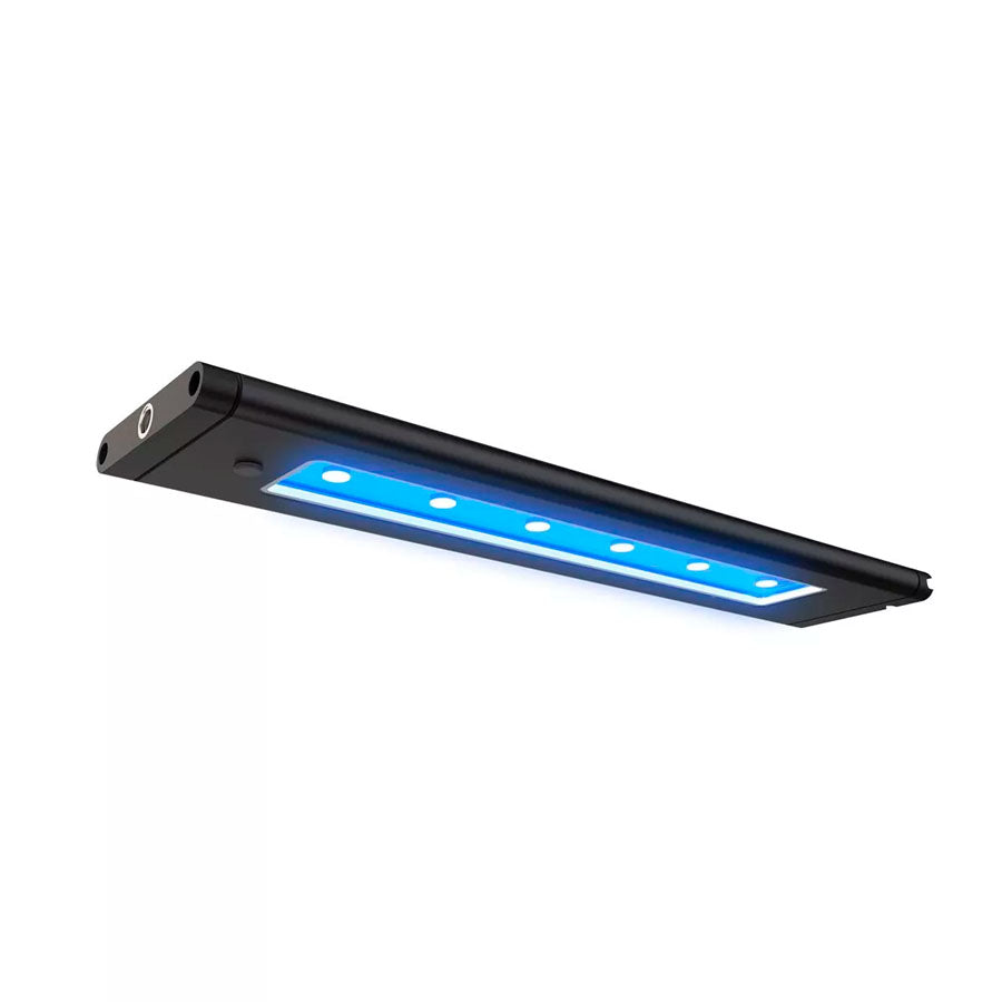 Blade Grow, AquaIllumination