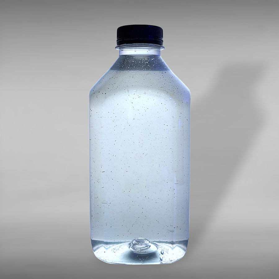 Copepodos (Muy concentrado), Submersa