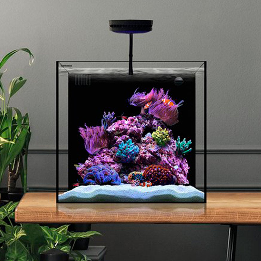 Acuario Cube 20 (76 Litros), Waterbox