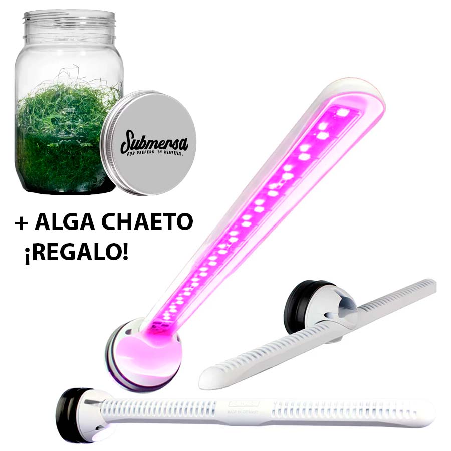 Led Eco Chic Refugium, Tunze + REGALO Alga Chaetomorpha