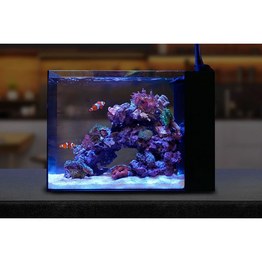 Acuario Peninsula Mini 25 (90 Litros), Waterbox