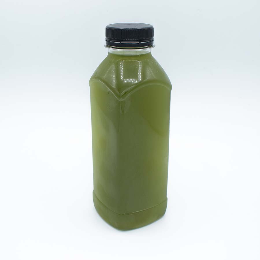 Phytoplancton Vivo Premium, Submersa