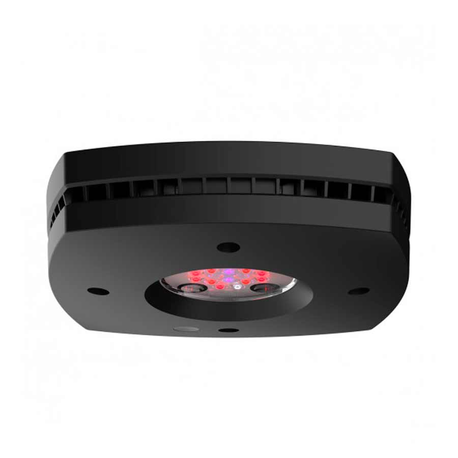 Pantalla Prime 16 Fuge, AquaIllumination