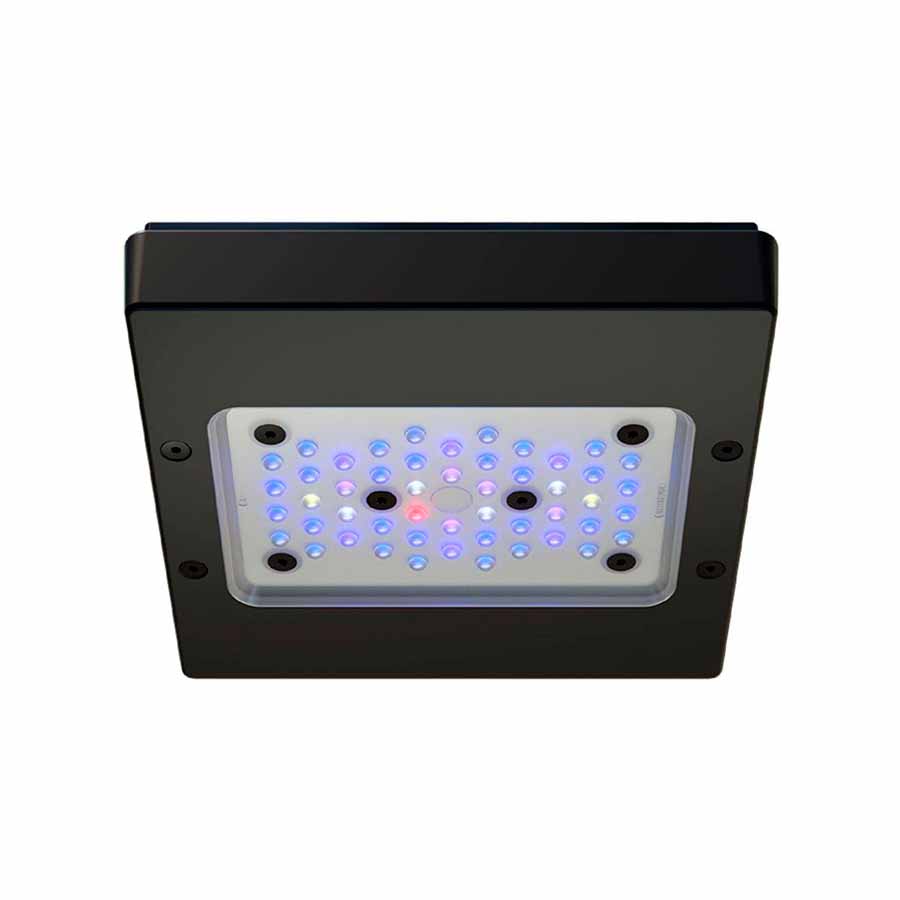 Radion XR15 Blue G6, Ecotech Marine