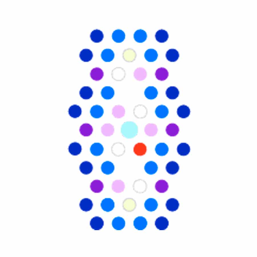 Radion XR15 Blue G6, Ecotech Marine