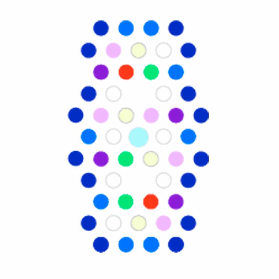 Radion XR15 Pro G6, Ecotech Marine