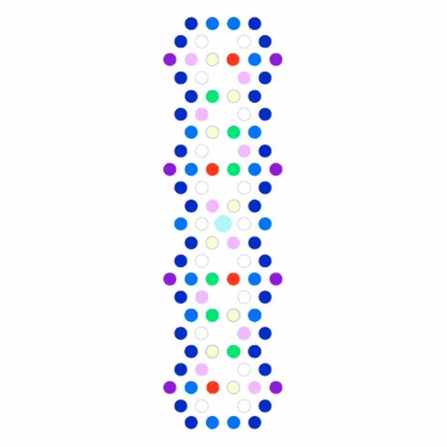 Radion XR30 Pro G6, Ecotech Marine