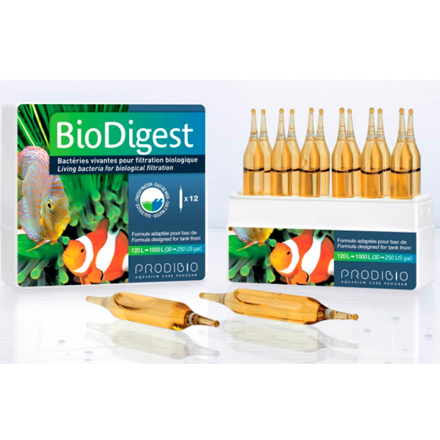 BioDigest, Probidio