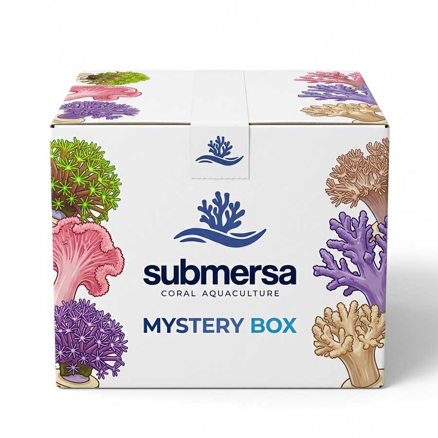Caja Misteriosa: Pack de 5 Corales Blandos