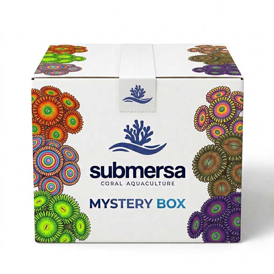 Caja Misteriosa: Pack de 5 Zoanthus